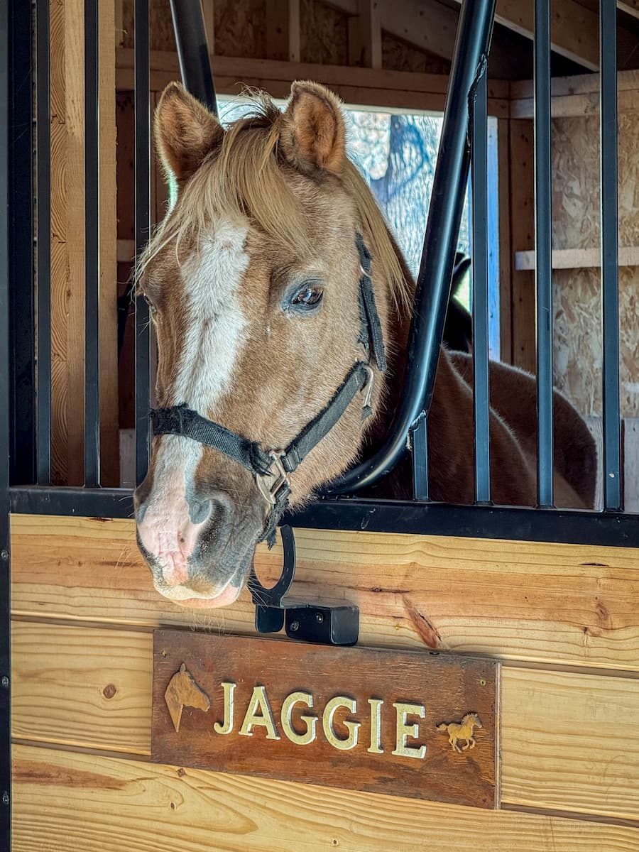 Groves barn jaggie - Custom building by Custom Garages of Virginia